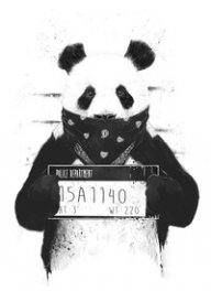 carboninc