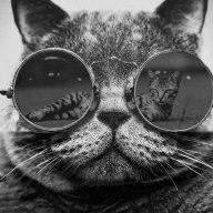 ArtSmm