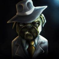 winston77