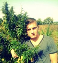 vladiss